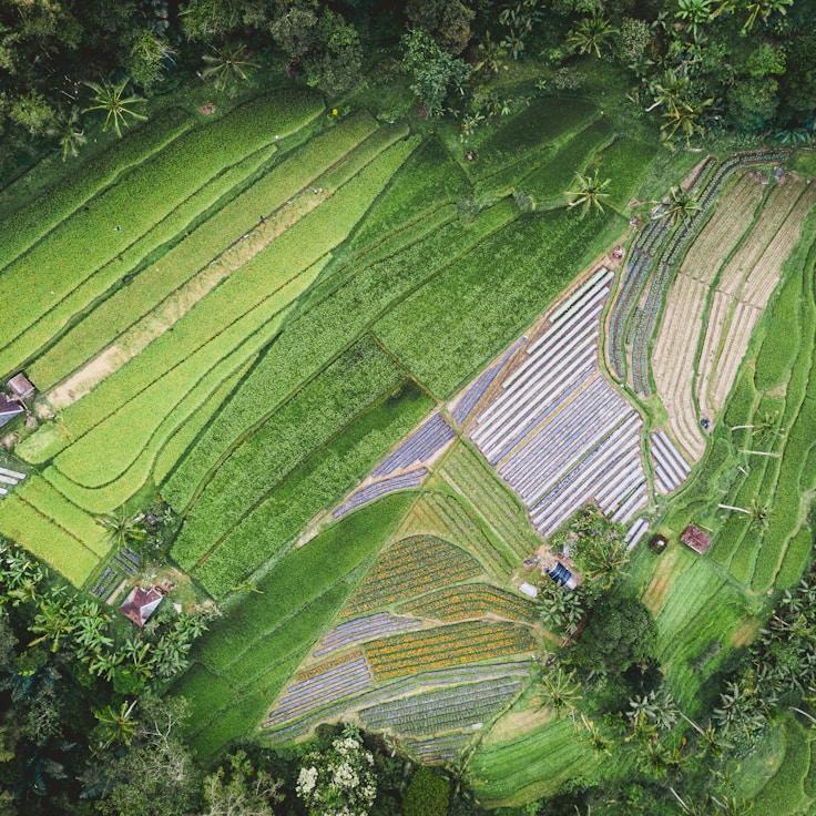 Outdoor terrace seating suitable for families in Berlin